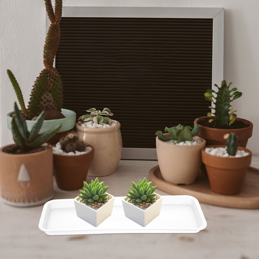 Drip Tray Saucer - 5 pièces, plateau rectangulaire peu profond